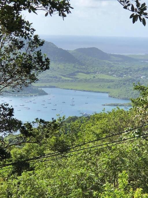 Le Marin - Bungalow Classe 3 Etoiles Tb Equipe & Confortable - Escapade En Couple - Paisible & En Toute Discretion - Wi-Fi - Climatisation - Calme & Serenite - Plages Du Sud, Centre De Carenage & Marina Du Marin Proche En Voiture - Acheminement Sur D Екстериор снимка